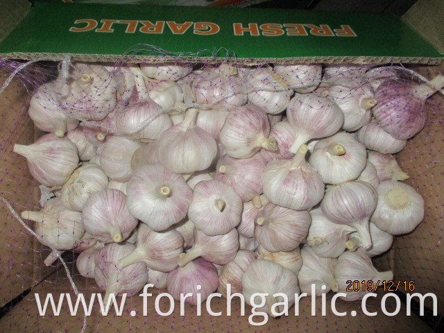 How To Save Garlic Bulbs